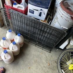 Dog Cage 
