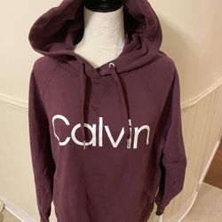 Calvin klein sale 2025 hoodie