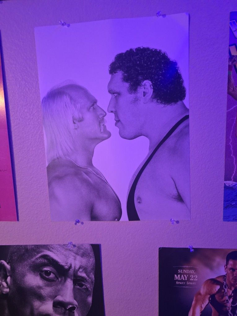 Official HULK vs Andre The Giant WWE