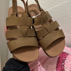 Bearpaw