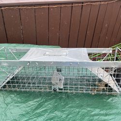 Animal Trap