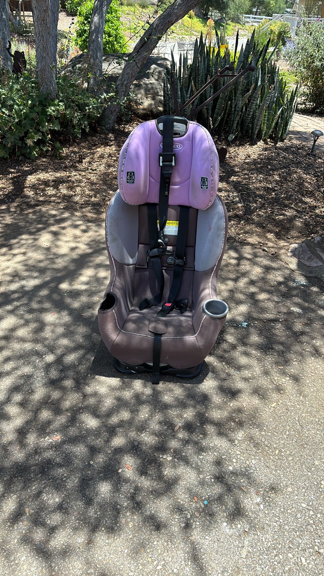 Graco Car seat