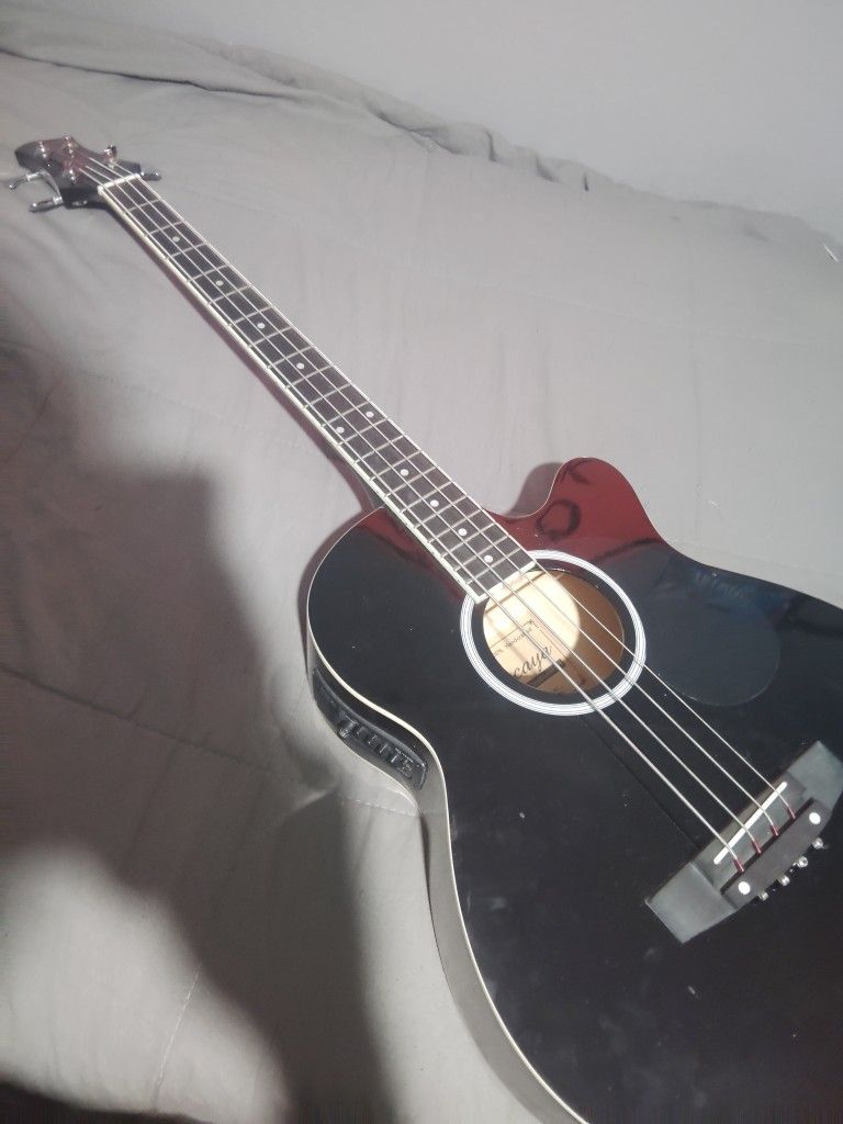 Bajoloche And Guitar