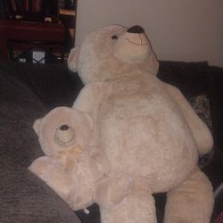 Bears 