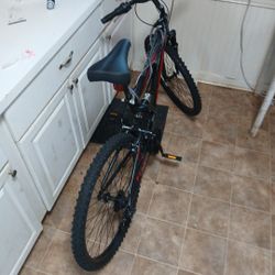 Bike New Only Had It 2 Mos 