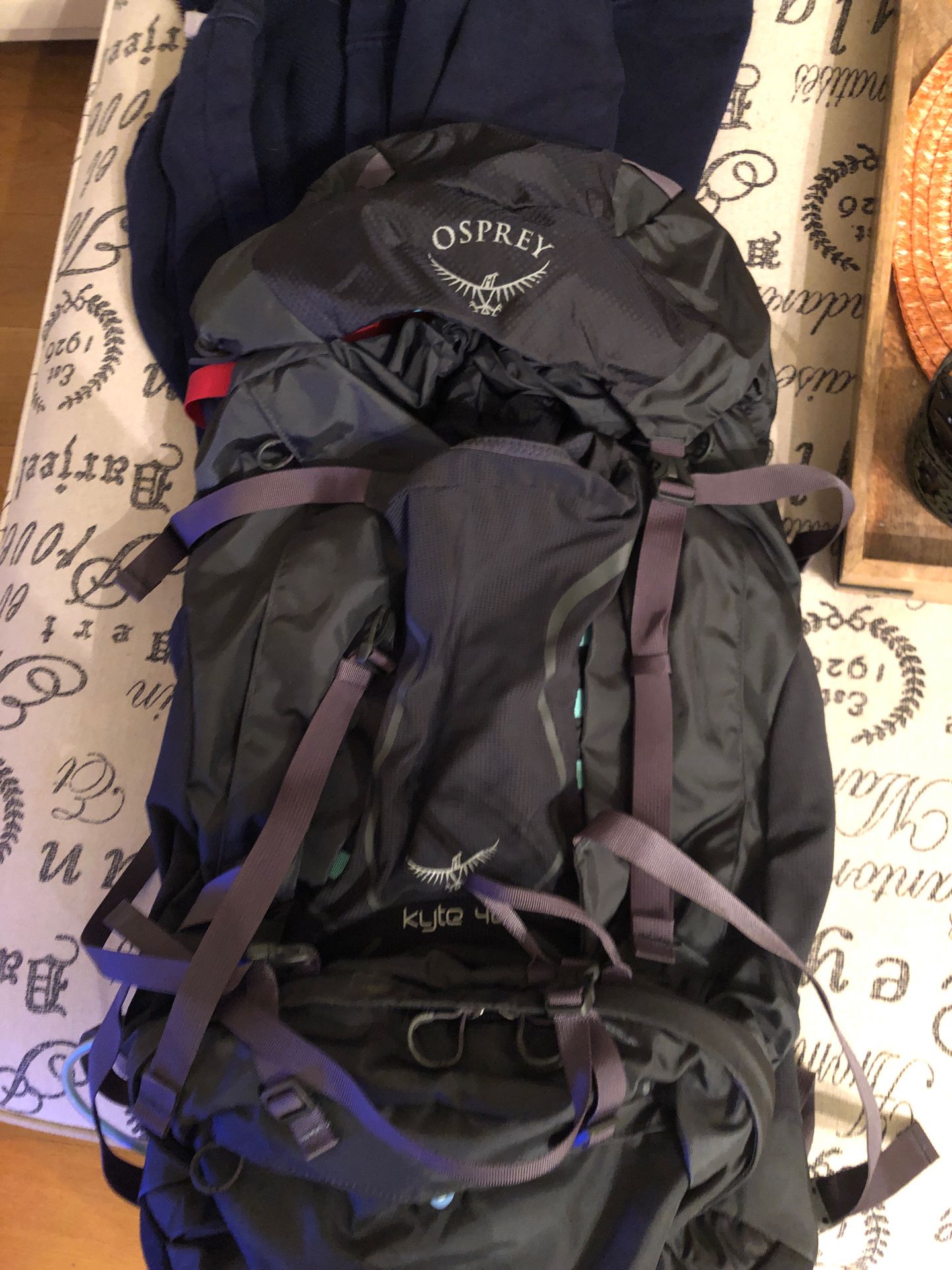 Osprey kyte 46 women’s hiking backpack