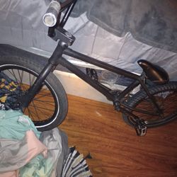 Phelps 20' Bike