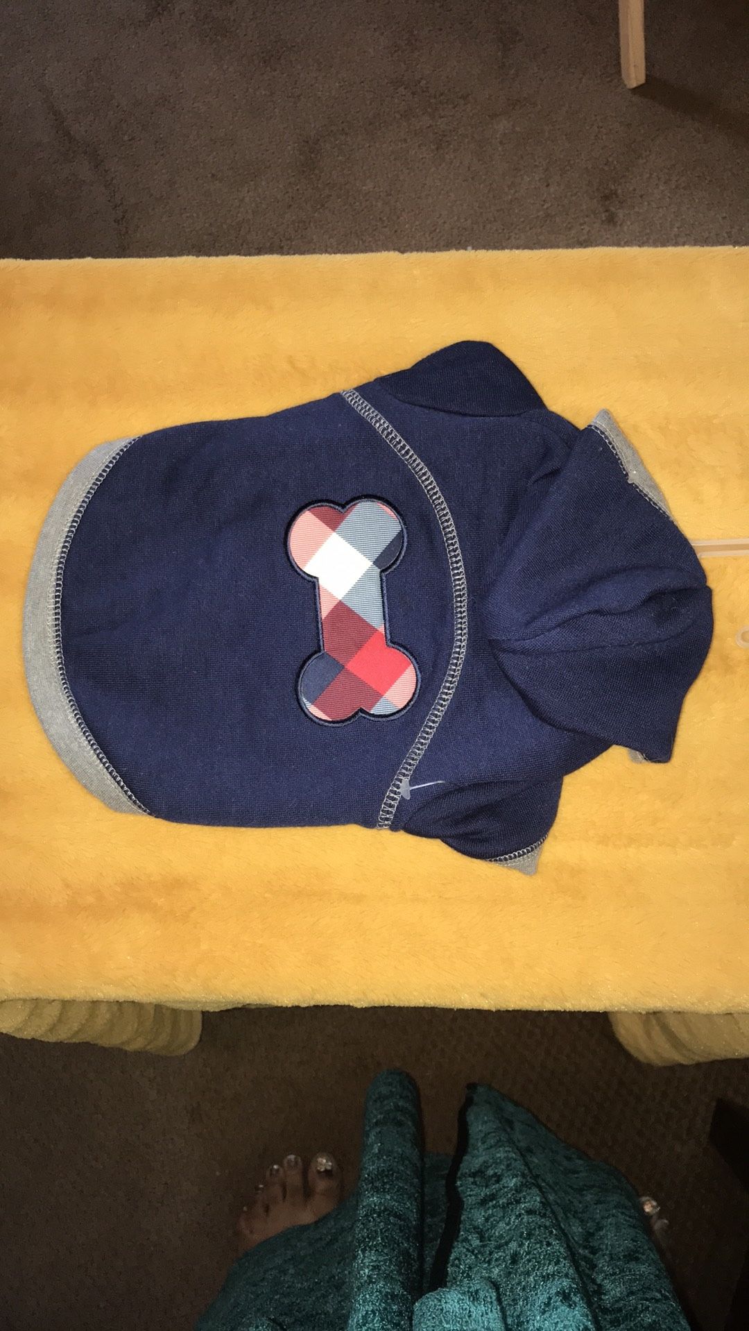 Dog Hoodie