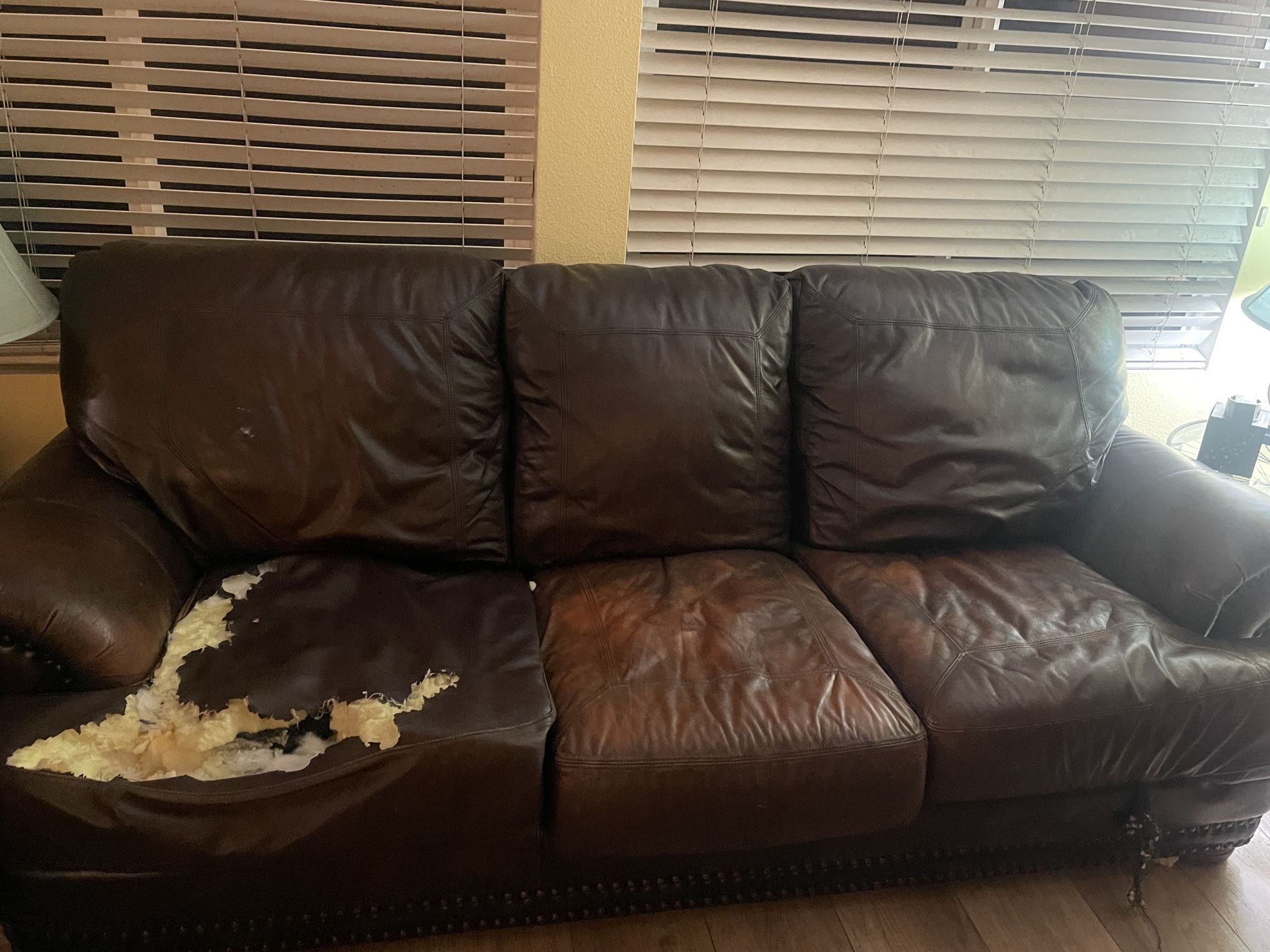 Free Sofa And Free Center Table