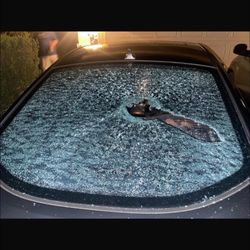 New Windshield 