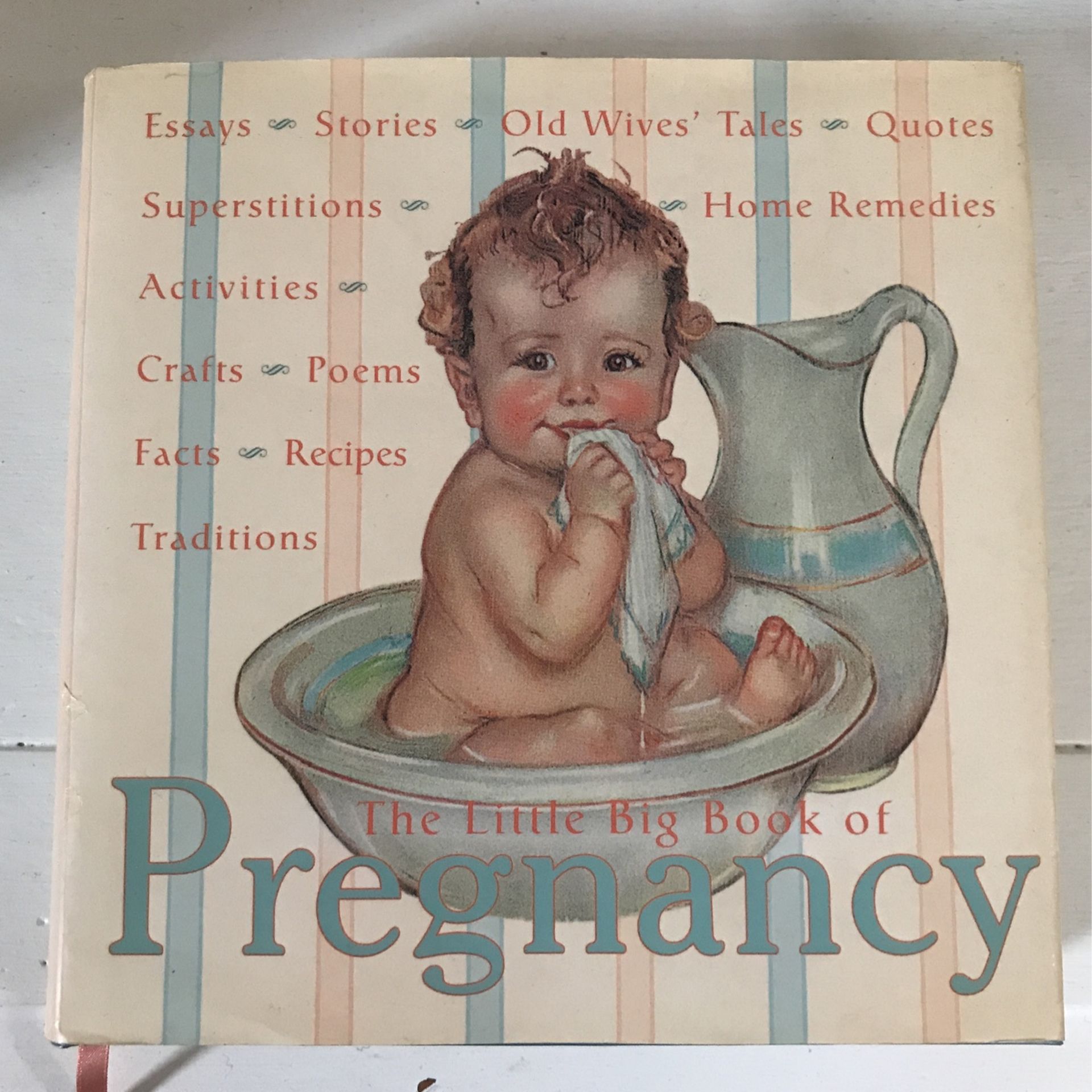 The Little Big Book Of Pregnancy