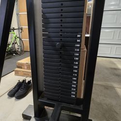 Sit Down Chest Press