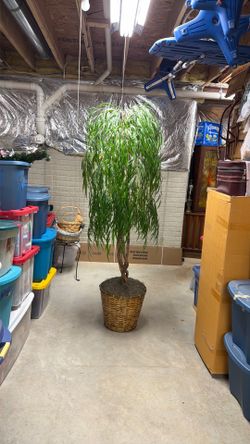Six Foot Artificial Tree Looks Real!!!!!