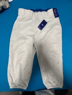 Mizuno Adult Baseball Short Pants grey