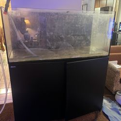 Red Sea 350 Reef Tank