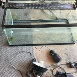 40 Gallon Fish Tank 