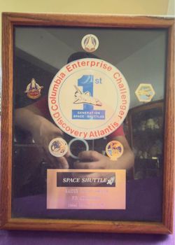 Challenger Space Shuttle Pin Collection RARE Limited Edition #5 of 10.