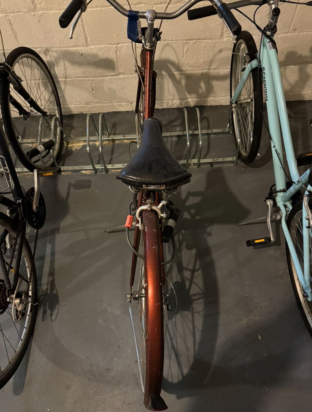 Schwinn World Tourist