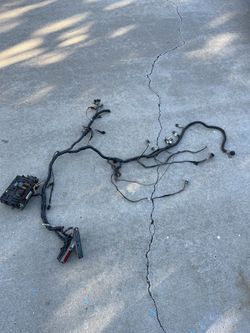 LS Harness Stand Alone