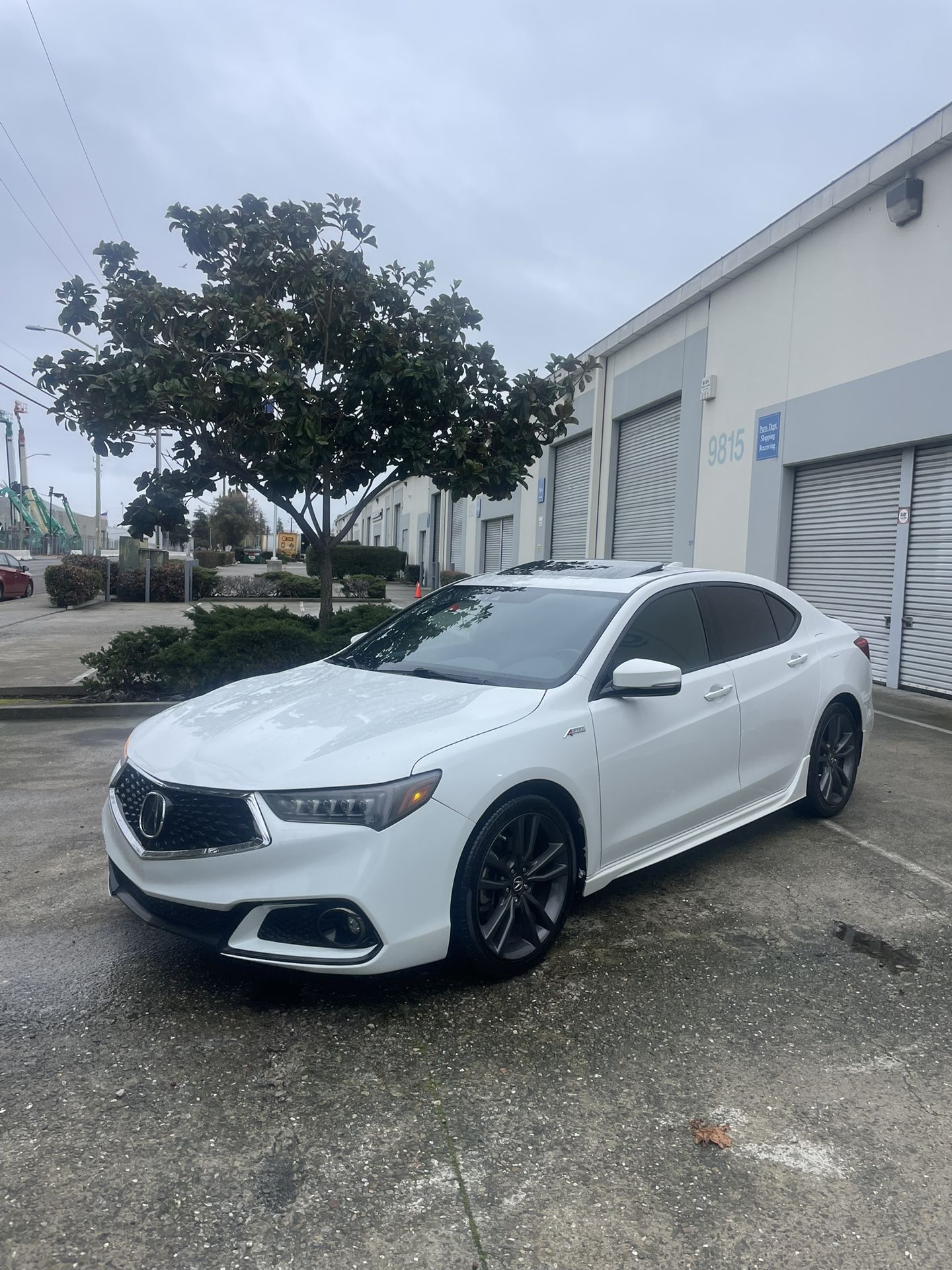 2019 TLX Acura A-SPEC