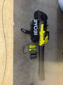 Ryobi leaf blower/vacuum 40v.