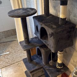 Cat Tree