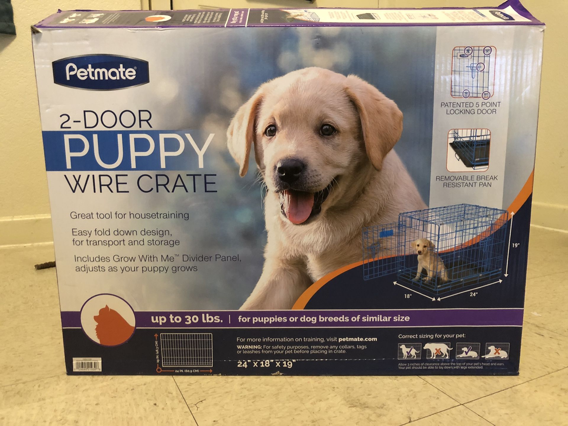 Can Puppy Wear Collar Crate