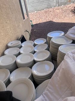 White Dinner Plates – Sold in Dozens