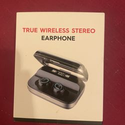 TRUE WIRELESS STEREO EARPHONE