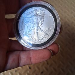 2024 Silver Eagle Coin MS 69 (Privy) 