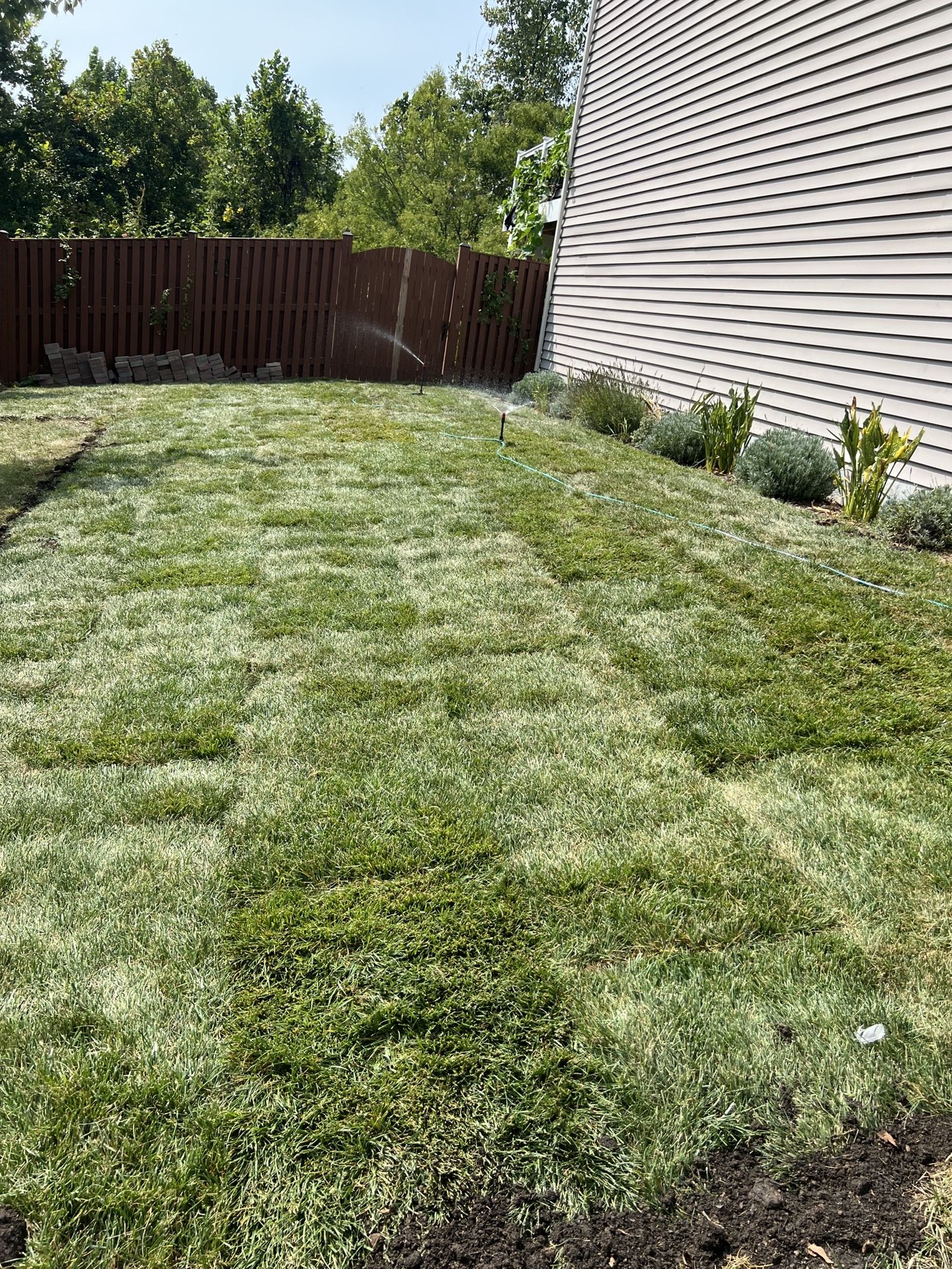 Fresh Sod 