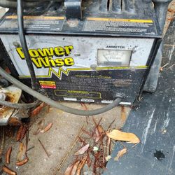 Golf Cart Battery Charger 36v