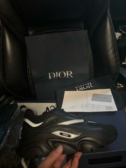 Dior b22