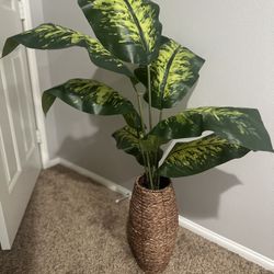 Faux Plant