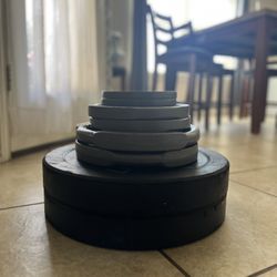 205lb Set With Barbell And Clips