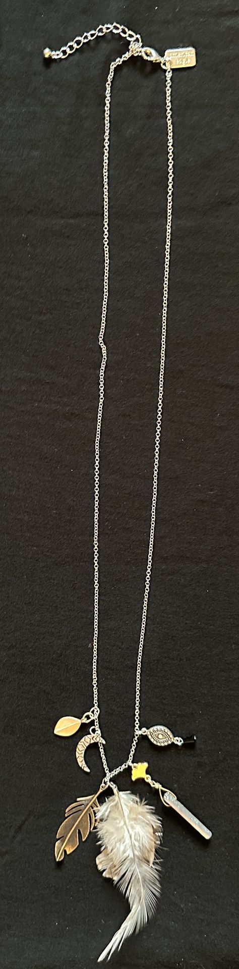 American Eagle 16 Inch Long Necklace With Charms