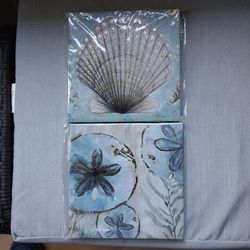 Seashell Prints on Canvass