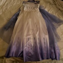 Elsa Costume