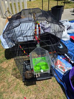 Bird cage