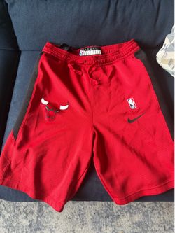 Bulls Shorts (L)