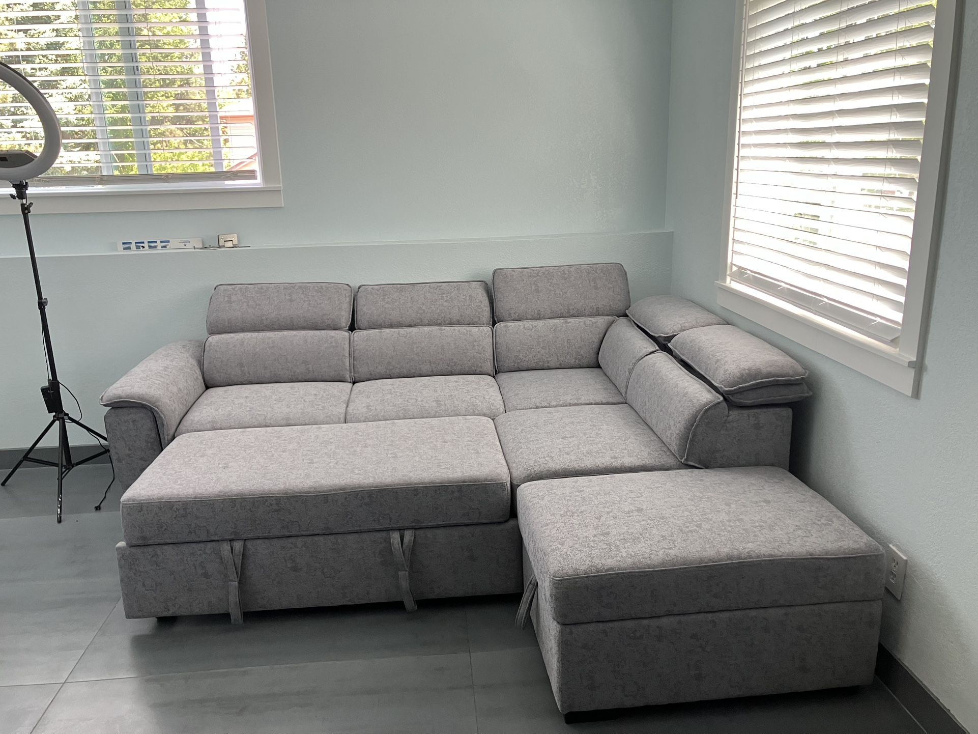Sleeper Sofa/ Couch