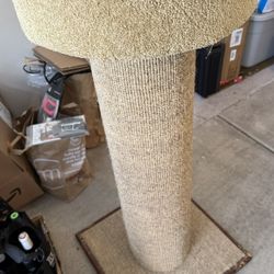 Cat Stand 
