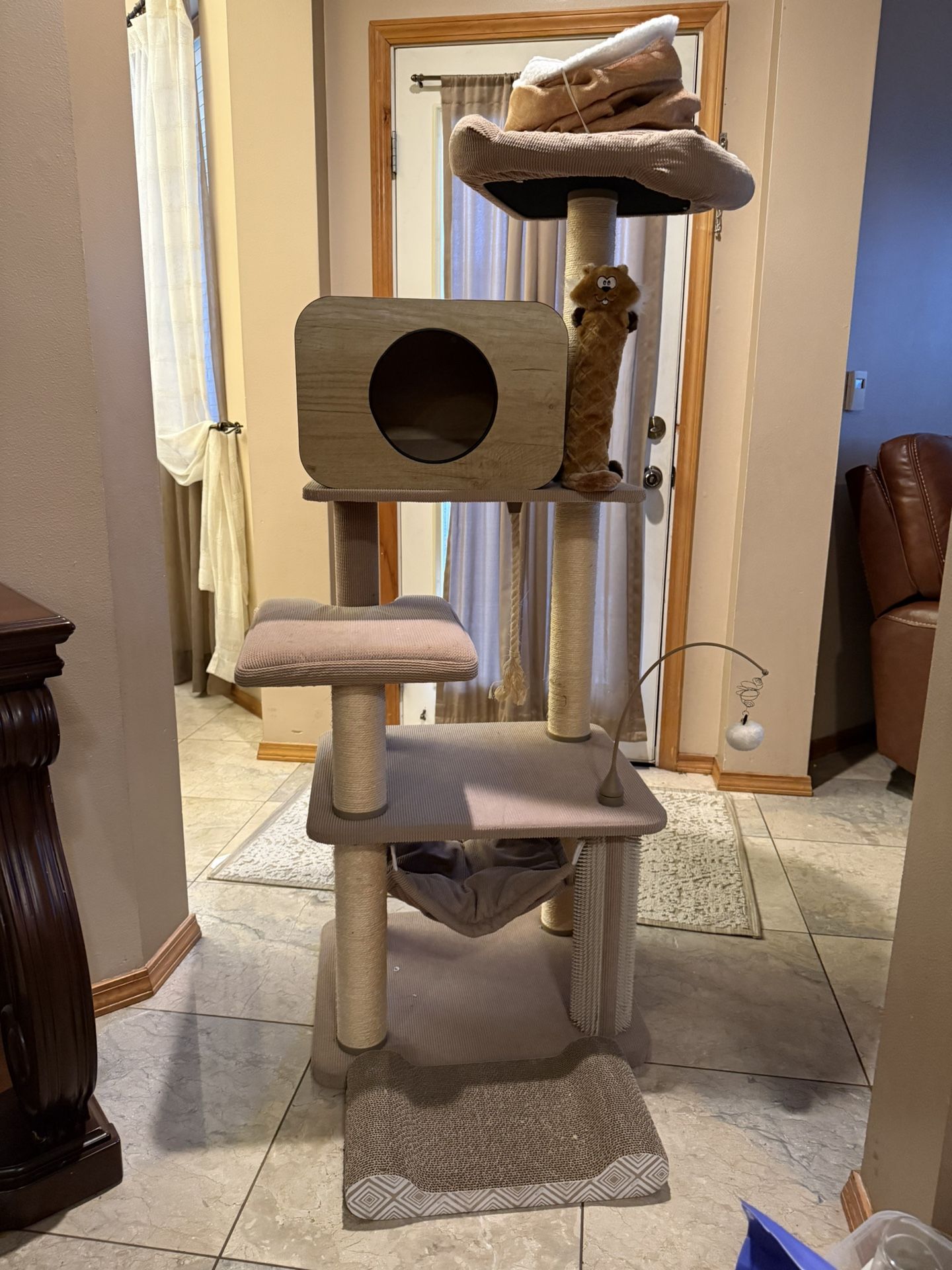 Cats Food, Case , Litter Box , Tower Etc