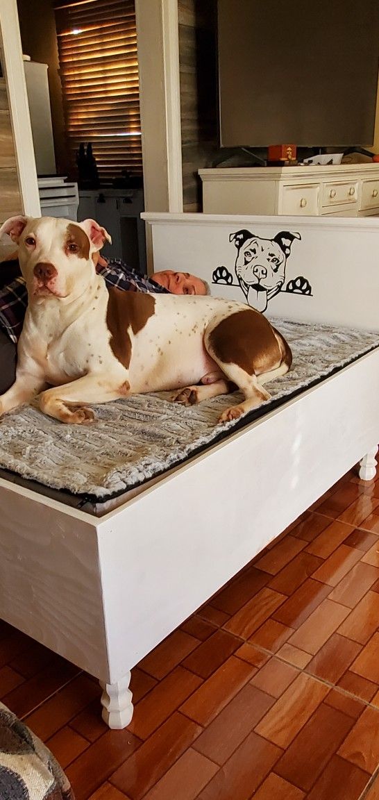 Custom Made Doggie Bed