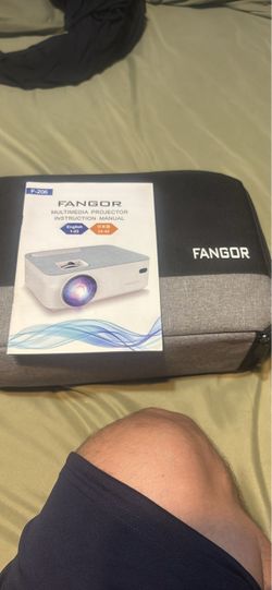 Projector