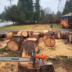 Tree Work