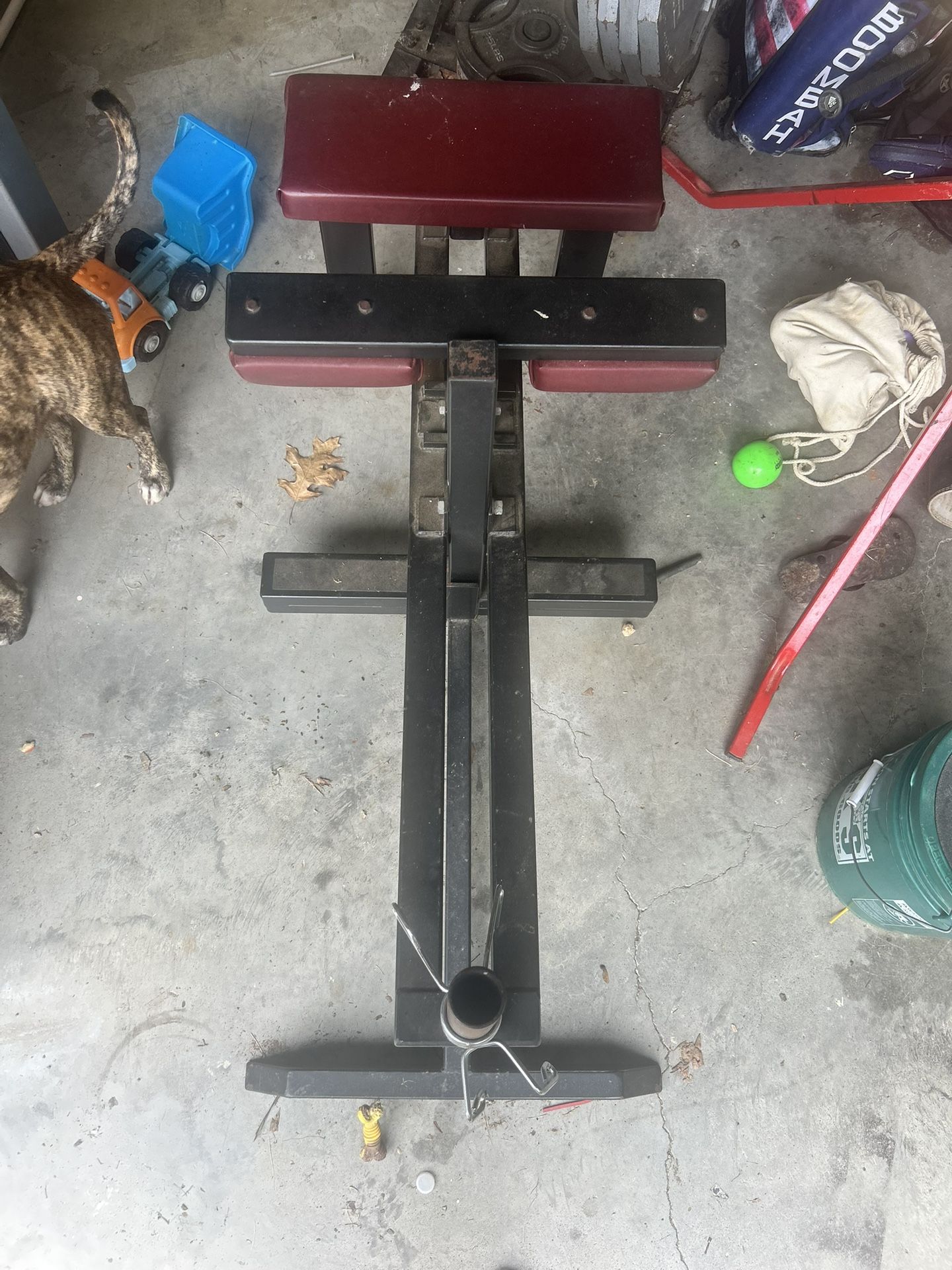 Seated Weight Loaded Calf Machine