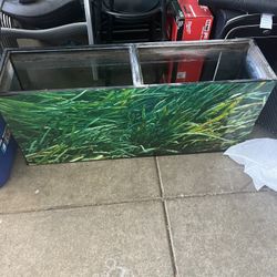 Fish Tank 