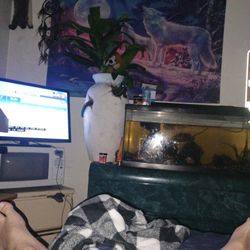 Terracotta Lizard Sculpture