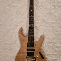 Ibanez EGEN8 Guitar